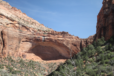 Explore Roadside Nature- Zion NP Great Arch